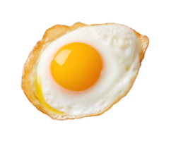 Fried egg isolated png