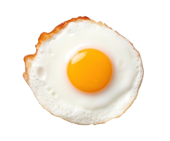 Fried egg isolated png