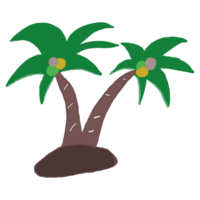 png Kokosnuss Baum