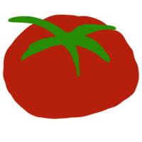 illustration de une tomate fruit png