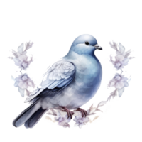 Watercolor wedding dove isolated png