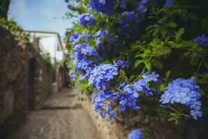 Views from Ravello on the Amalfi Coast, Italy photo