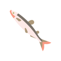adorável grande branco peixe generativo ai png