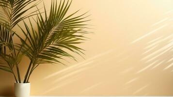 Natural background with palm leaves shadow photo