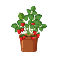 Erdbeere Pflanzen generativ ai png