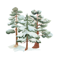 Snowy Pine Tree Generative Ai png