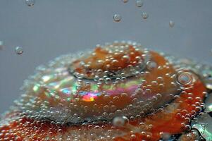 colorful seashell with water and air bubbles photo