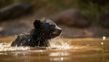 A cute wet puppy splashing in the water, enjoying summer generated by AI photo