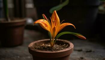 A beautiful green leaf grows in a small flower pot generated by AI photo