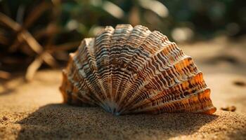 Close up of a beautiful yellow seashell, a souvenir from summer vacations generated by AI photo