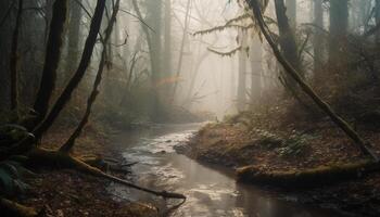 Mysterious autumn forest, wet leaves, tranquil scene, green tree branches generated by AI photo