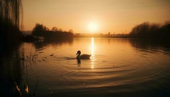 Tranquil scene sunset reflects on water, duck swims peacefully generated by AI photo