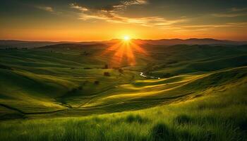 Tranquil meadow, rolling landscape, sunset paints Italian Chianti region generated by AI photo