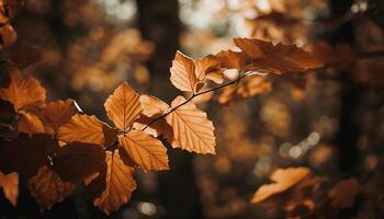 Vibrant autumn colors illuminate the forest in a golden spectacle generated by AI photo