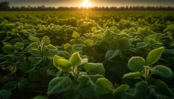 Fresco verde hojas crecer en un prado, tomando el sol en luz de sol generado por ai foto