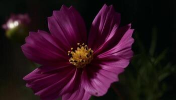 vibrante de colores flores floración en naturaleza belleza, exhibiendo su fragilidad generado por ai foto