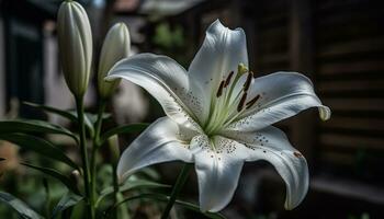 A beautiful bouquet of colorful flowers in a formal garden generated by AI photo