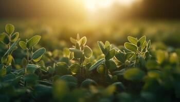 Fresh green leaves grow in the meadow, vibrant with nature beauty generated by AI photo