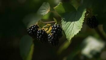 Freshness of nature bounty ripe, juicy berries on leafy branches generated by AI photo