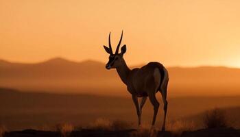 silueta de con cuernos mamífero en pie en africano desierto a puesta de sol generado por ai foto