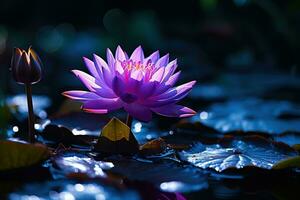 Beautiful pink water lily or lotus flower on dark background AI Generated photo