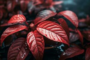 Close up of beautiful autumn leaves with water drops. Natural background AI generated photo