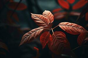 cerca arriba de hermosa otoño hojas con agua gotas. natural antecedentes ai generado foto