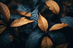 Close up of beautiful autumn leaves with water drops. Natural background AI generated photo