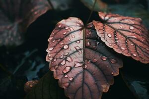 Close up of beautiful autumn leaves with water drops. Natural background AI generated photo