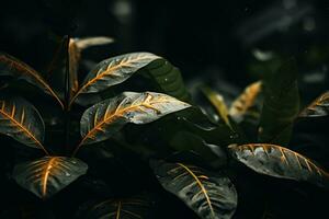 Close up of beautiful autumn leaves with water drops. Natural background AI generated photo