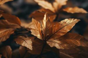 Close up of beautiful autumn leaves with water drops. Natural background AI generated photo