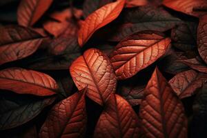 Close up of beautiful autumn leaves with water drops. Natural background AI generated photo