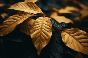 Close up of beautiful autumn leaves with water drops. Natural background AI Generated photo