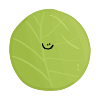 Cute fresh cabbage png