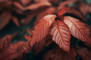 Close up of beautiful autumn leaves with water drops. Natural background AI generated photo