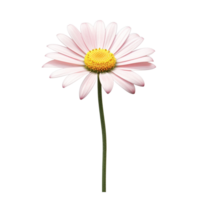 ai generativ Aquarell Gänseblümchen Blume Gradient Pastell- Isolierung auf Weiß transparent png