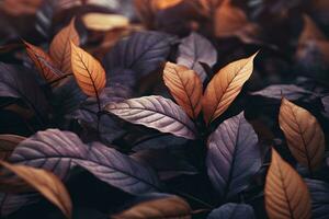 Close up of beautiful autumn leaves with water drops. Natural background AI generated photo