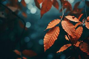 Close up of beautiful autumn leaves with water drops. Natural background AI generated photo