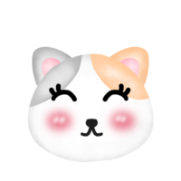 Hand drawing cute cat on transparent background png