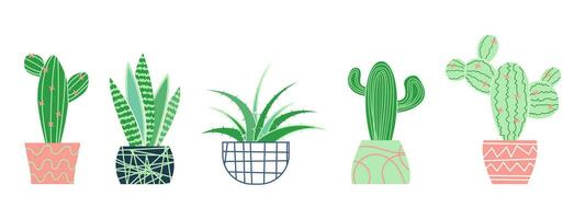 Succulents of various shapes. Potted plants. Cactus potted. Vector hand drawn illustration isolated on white background.