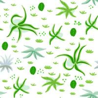 Cute pattern with cactuses and succulents on white in hand drawn style vector