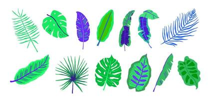 Mega collection of tropical leaves in neon colors. Tropical leaves Clipart on white vector