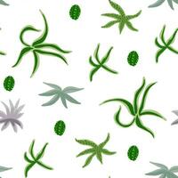 Cute pattern with cactuses and succulents on white in hand drawn style vector