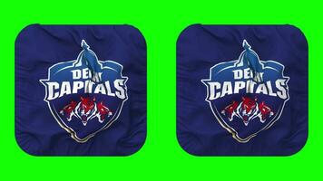 delhi capitales, dc drapeau dans écuyer forme isolé avec plaine et bosse texture, 3d le rendu, vert filtrer, alpha mat video