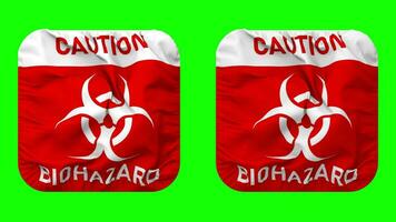 precaución peligro biológico firmar bandera en escudero forma aislado con llanura y bache textura, 3d representación, verde pantalla, alfa mate video