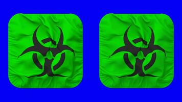 peligro biológico firmar bandera en escudero forma aislado con llanura y bache textura, 3d representación, verde pantalla, alfa mate video