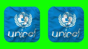 United Nations Childrens Fund, UNICEF Flag in Squire Shape Isolated with Plain and Bump Texture, 3D Rendering, Green Screen, Alpha Matte video