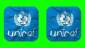 Unidos nações crianças fundo, unicef bandeira dentro escudeiro forma isolado com avião e colisão textura, 3d Renderização, verde tela, alfa fosco video