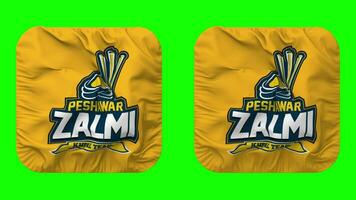 Peshawar zalmi, pz bandeira dentro escudeiro forma isolado com avião e colisão textura, 3d Renderização, verde tela, alfa fosco video