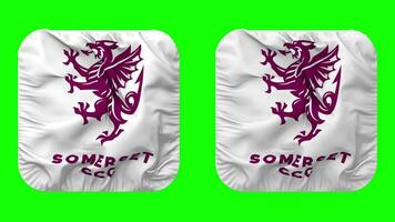 Somerset sabels, Somerset provincie krekel club vlag in schildknaap vorm geïsoleerd met duidelijk en buil textuur, 3d weergave, groen scherm, alpha matte video